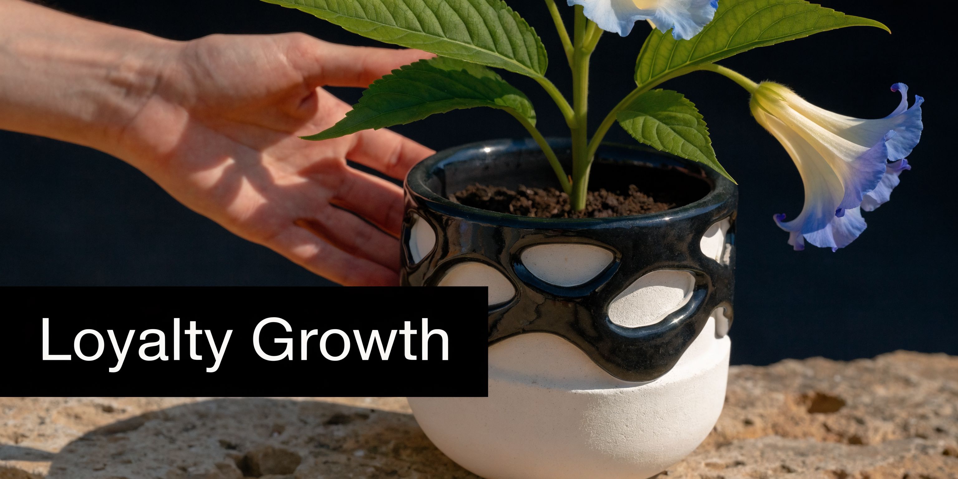 A hand gently reaches toward a small potted flower sitting on a stone surface, featuring modern design.