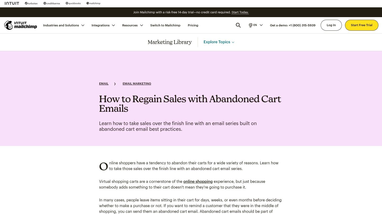Mailchimp abandoned cart email examples