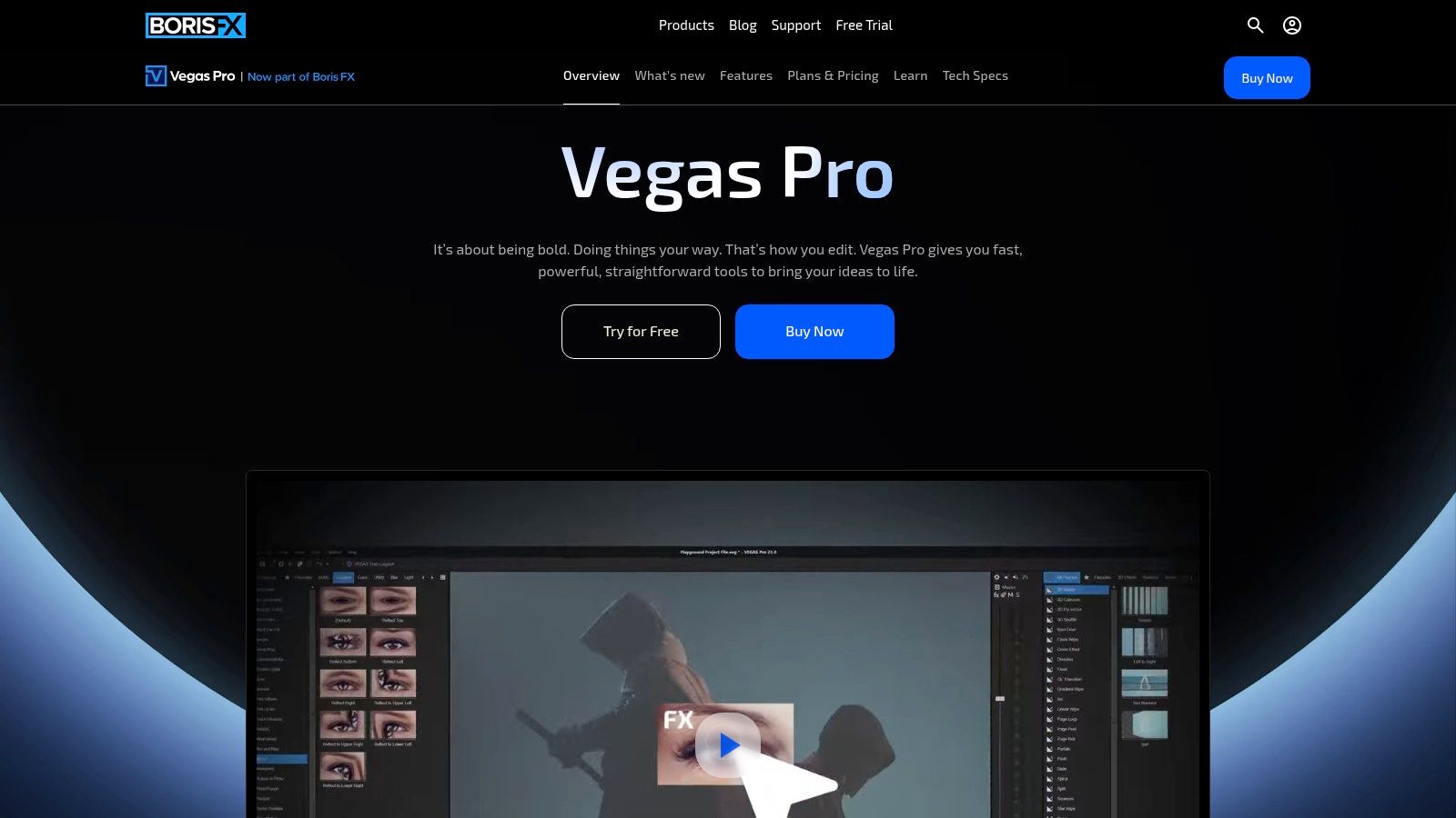 VEGAS Pro (Boris FX)
