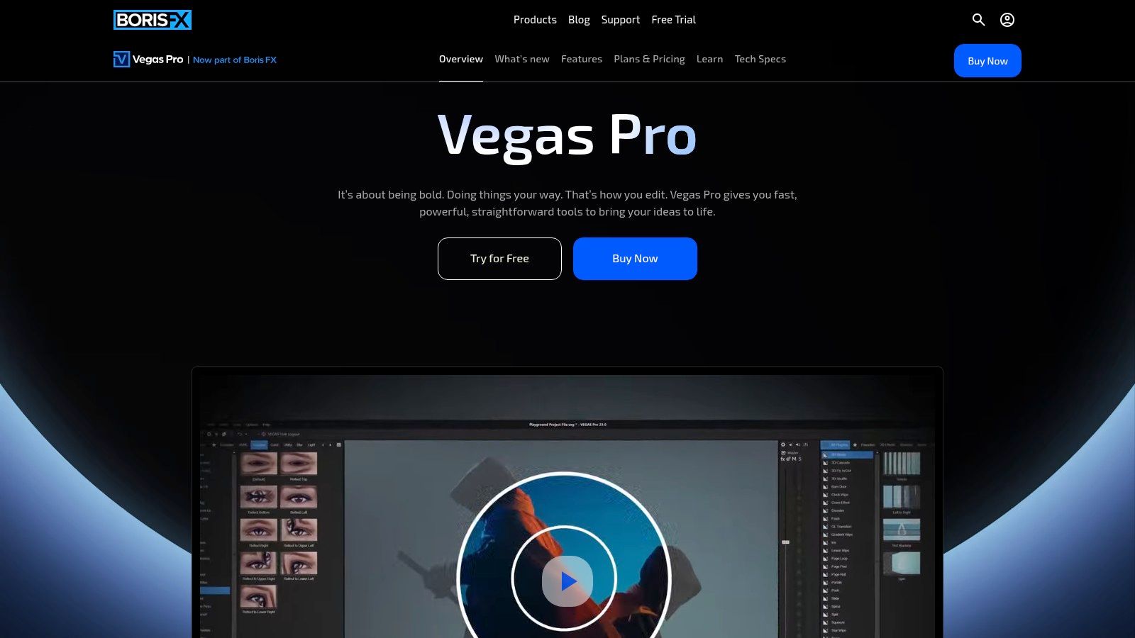VEGAS Pro