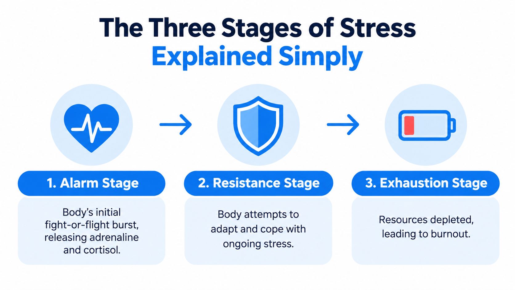 An infographic showing the three stages of stress: alarm, resistance, and exhaustion, with simple icons for each.