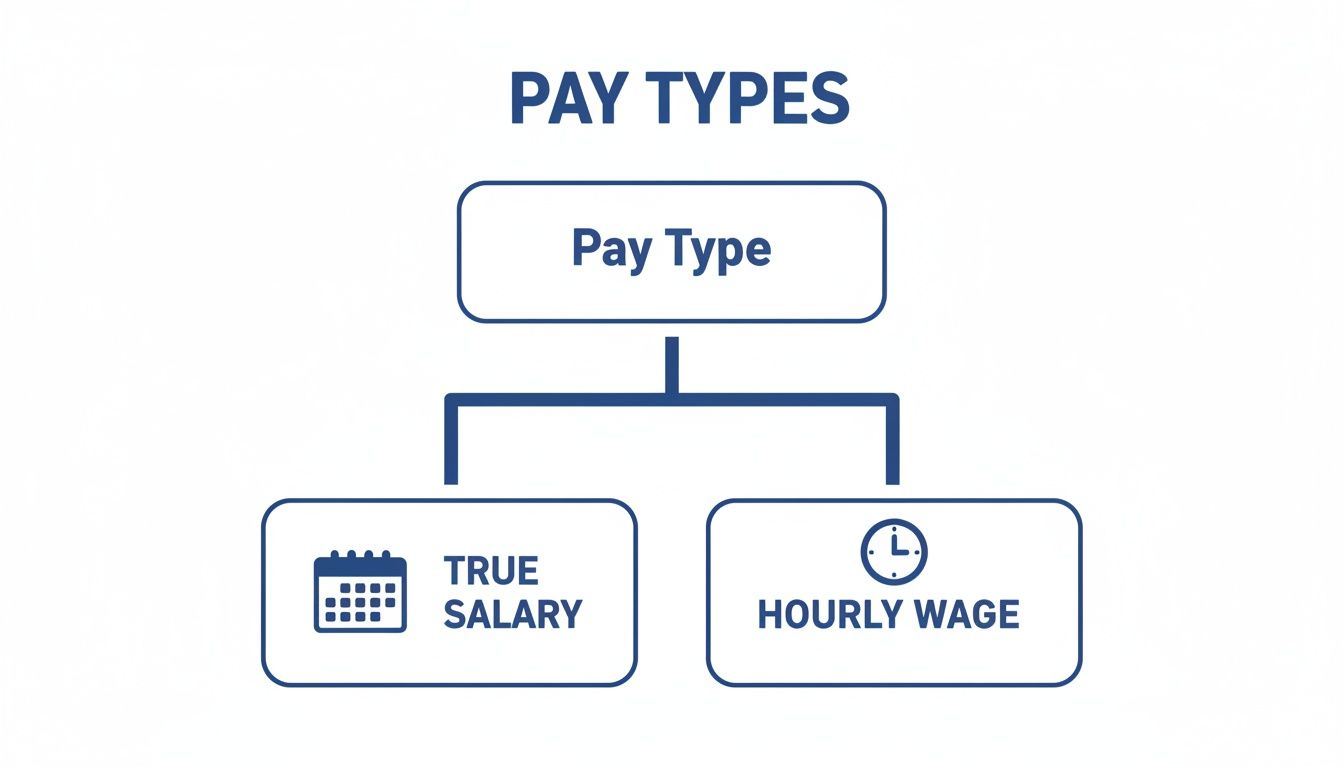 A flowchart illustrating different pay types, specifically distinguishing between true salary and hourly wage.