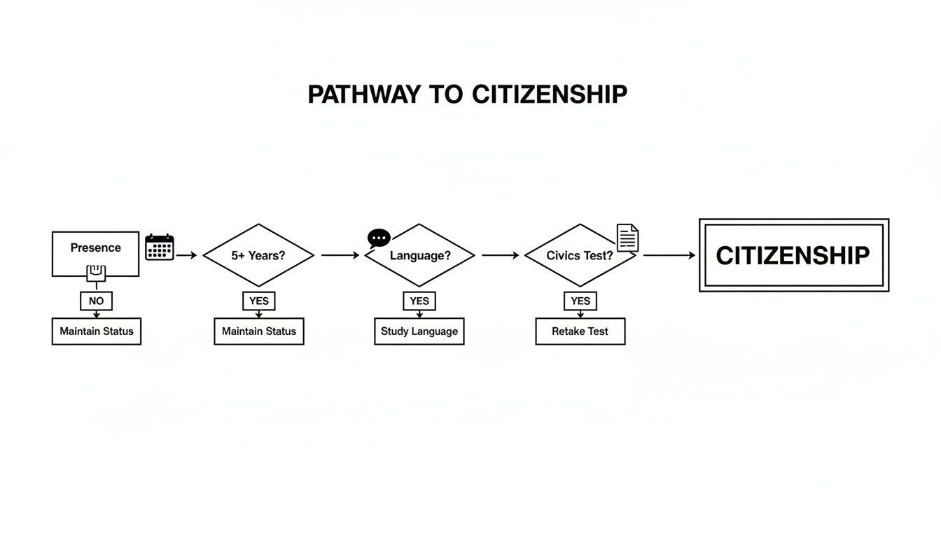 Flowchart illustrating the pathway to citizenship, detailing required steps like presence, residency, language, and civics test.