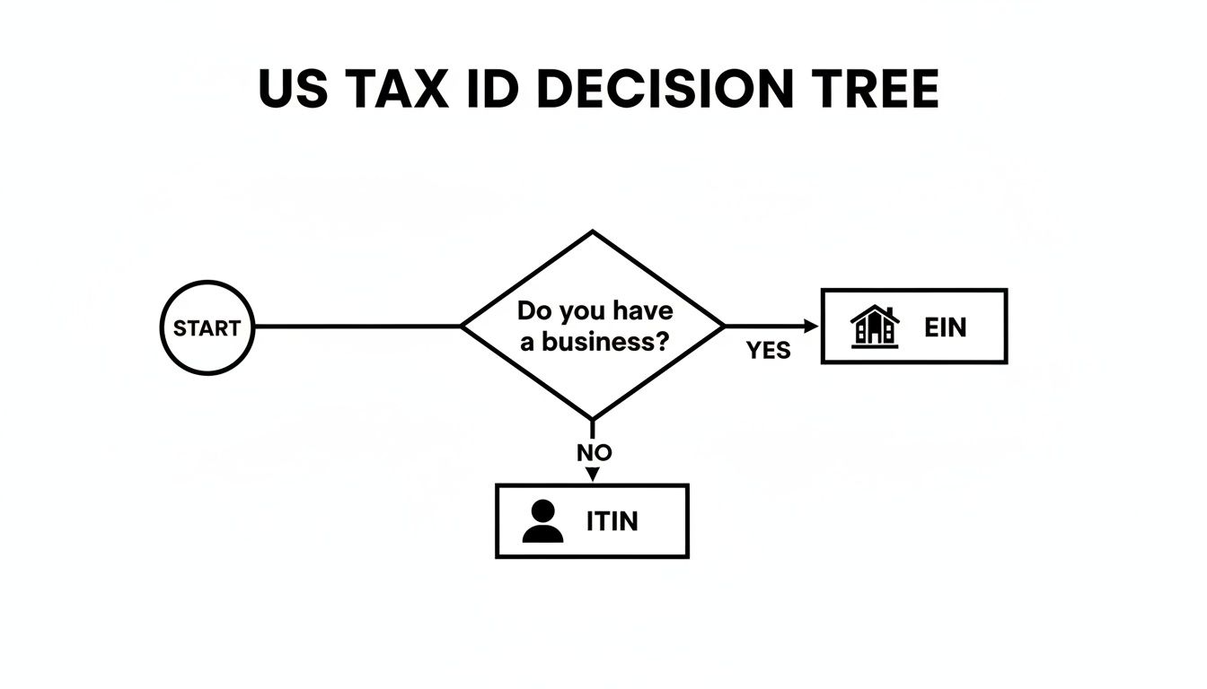 Flowchart outlining the US Tax ID decision tree: EIN for businesses, ITIN for individuals.