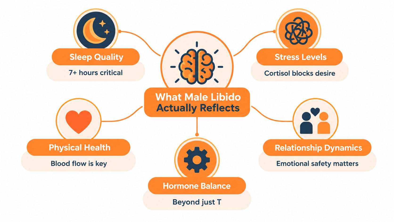 An infographic titled What Male Libido Actually Reflects, detailing factors like sleep, stress, health, hormones, and relationships.