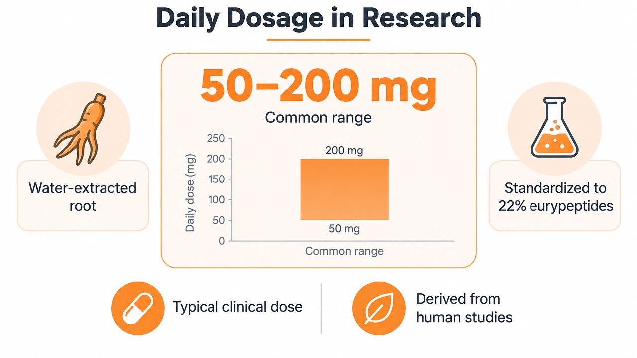 An infographic showing the common daily research dosage of Tongkat Ali ranges from 50 to 200 mg.