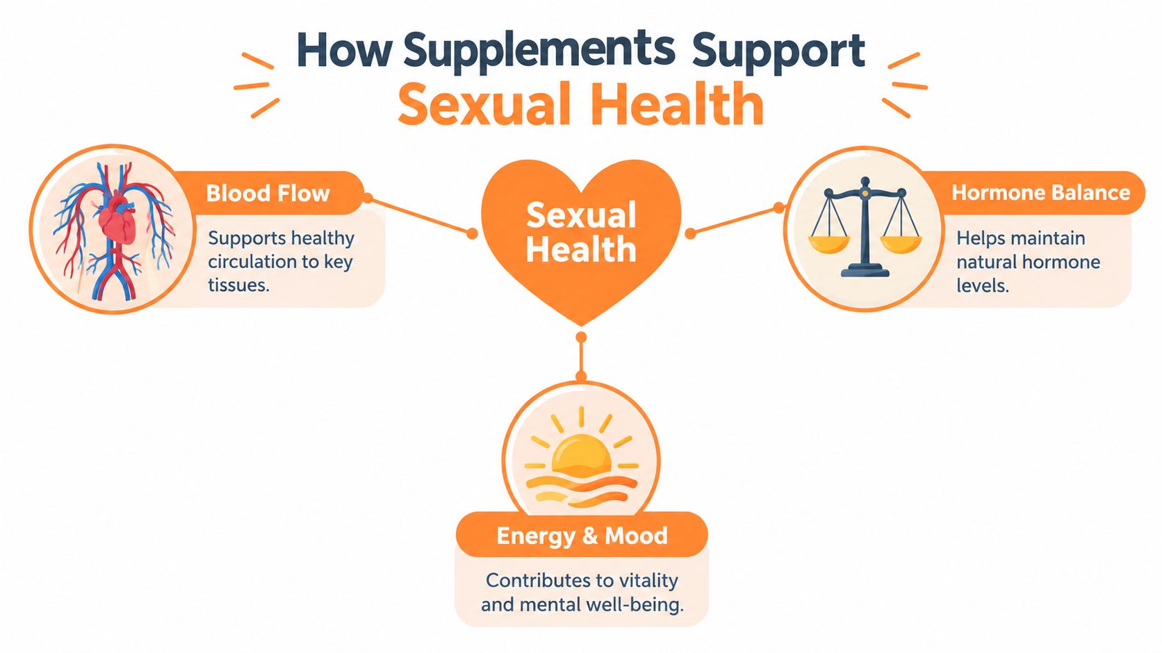 A diagram illustrating how supplements support sexual health through improved blood flow, hormone balance, and better energy and mood.