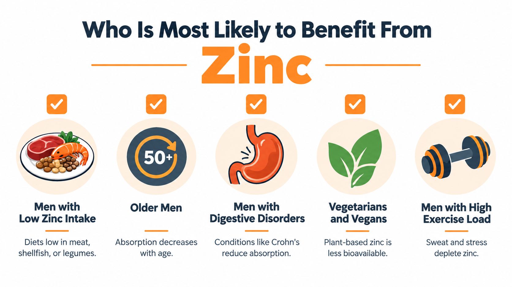 An infographic illustrating groups of men who might benefit from zinc supplements based on lifestyle and health factors.