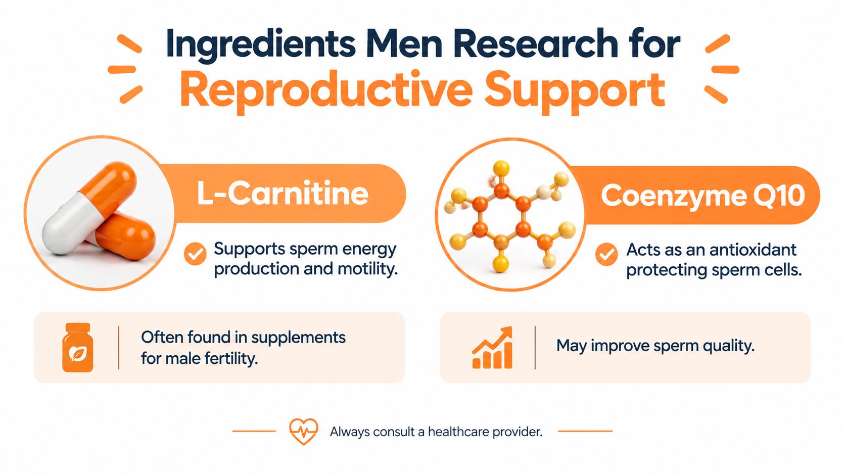 An infographic detailing two key ingredients, L-Carnitine and Coenzyme Q10, that support male reproductive health and fertility.