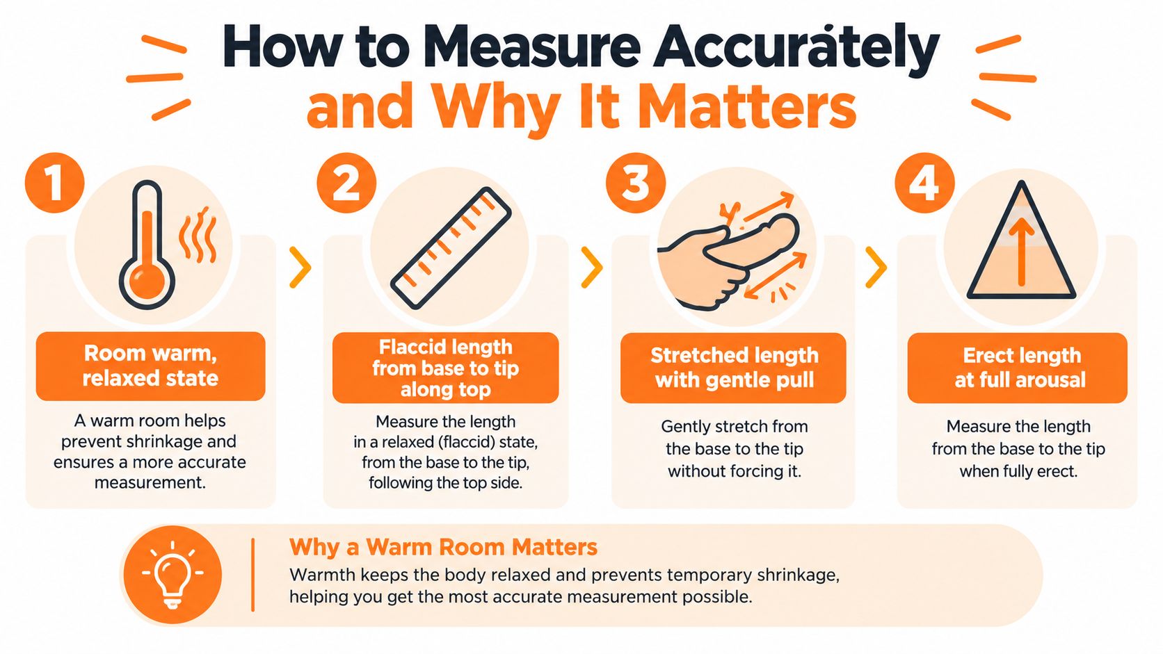 A step-by-step infographic illustrating how to accurately measure penis size while in a warm environment.