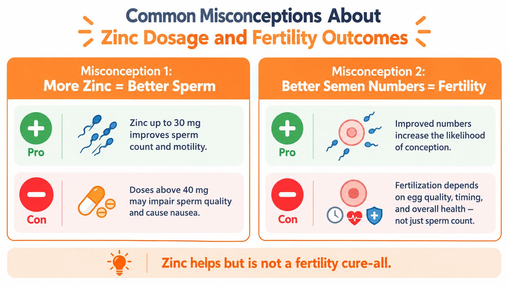 An infographic detailing common misconceptions regarding zinc dosage, sperm health, and overall fertility outcomes.