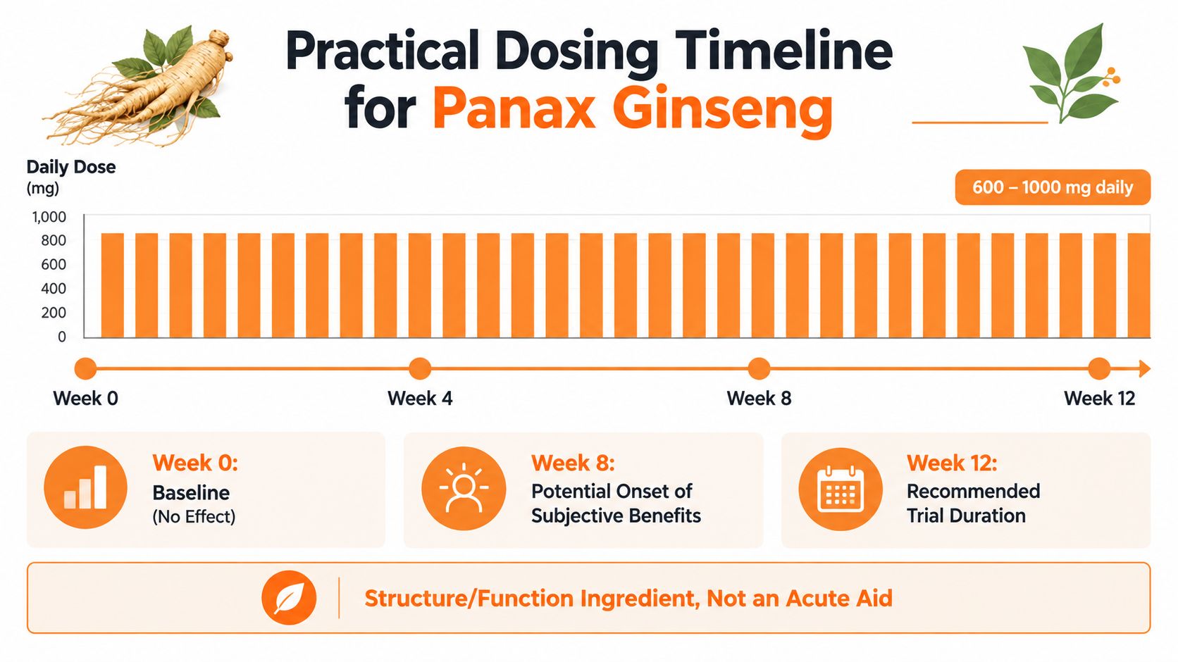 A visual timeline infographic displaying the recommended 12-week dosing schedule for Panax Ginseng supplementation.