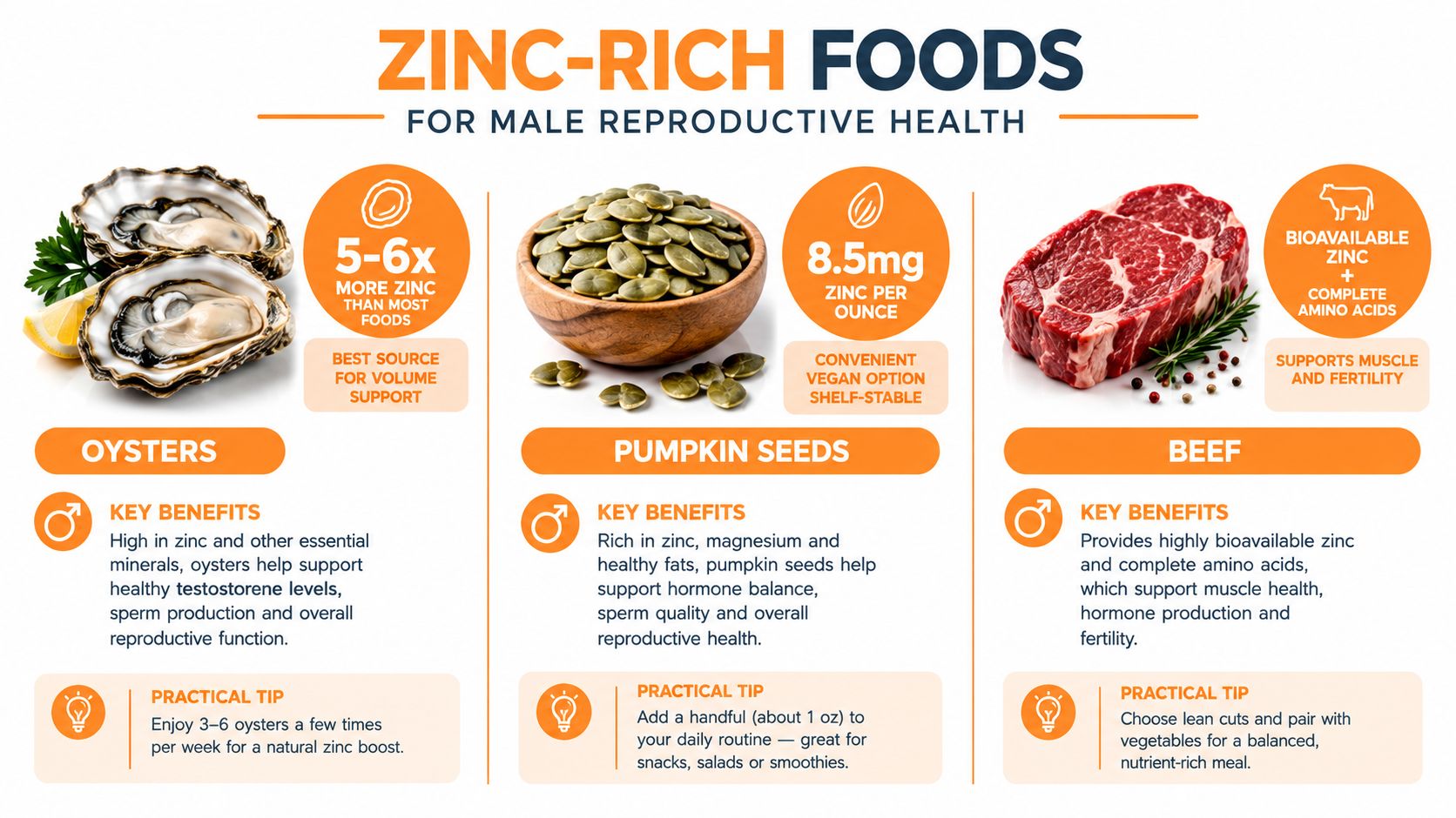 An infographic showing zinc-rich foods like oysters, pumpkin seeds, and beef for male reproductive health support.