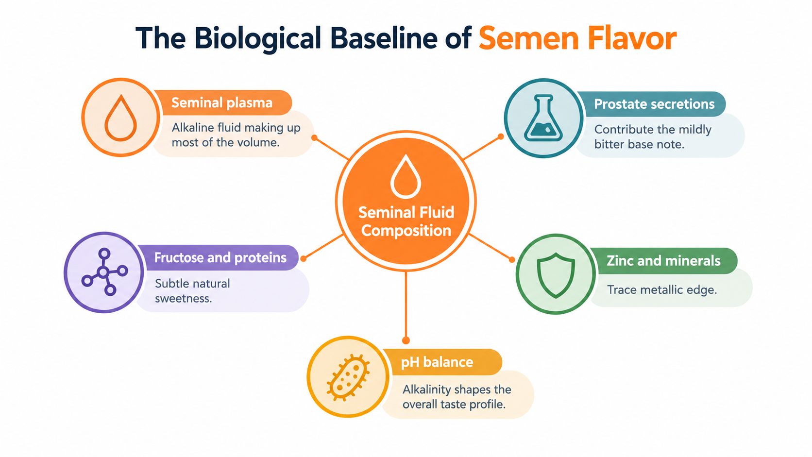 A diagram illustrating the biological factors that contribute to the flavor profile of seminal fluid.