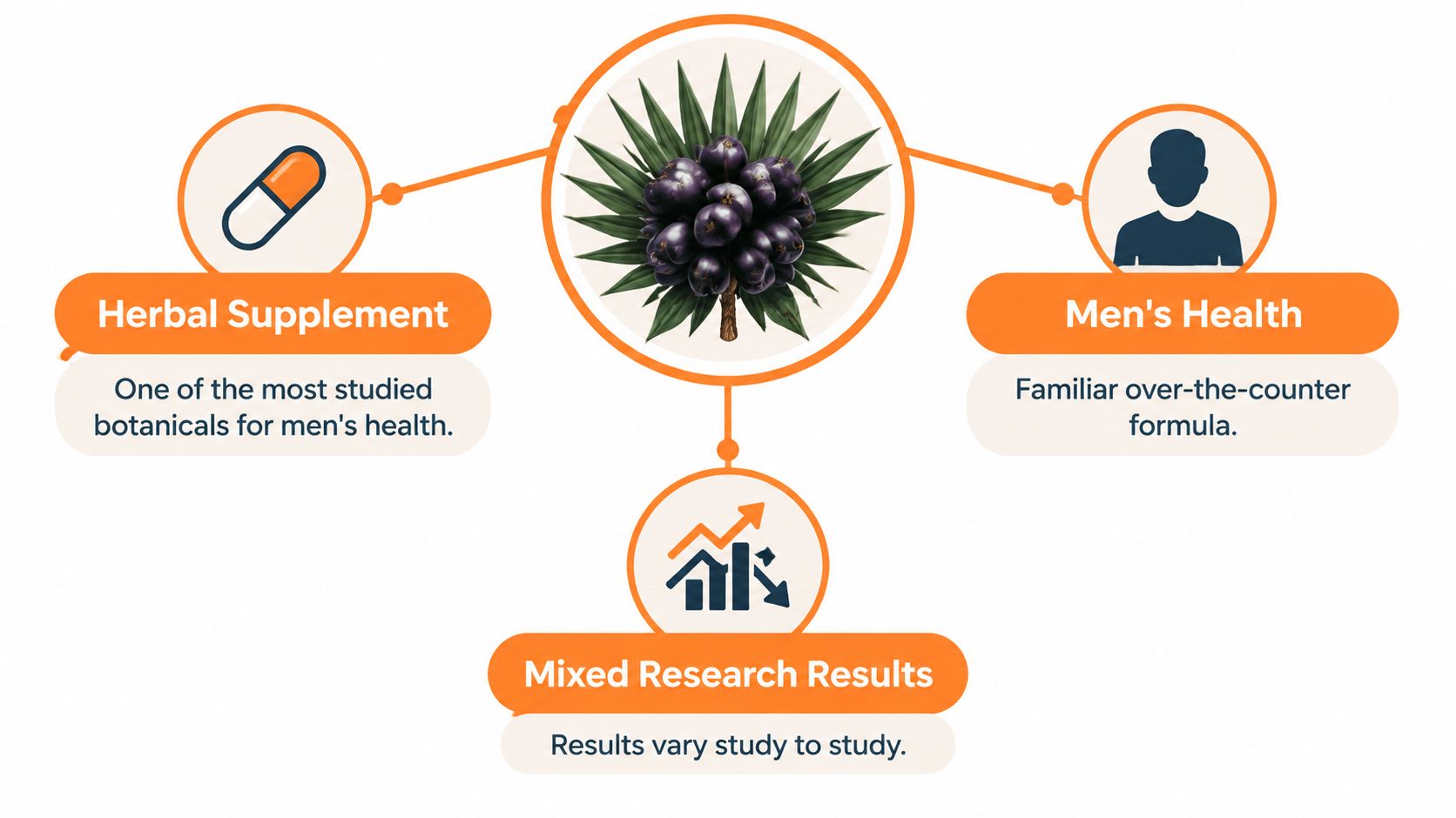 A diagram illustrating the use of saw palmetto as a herbal supplement for men's health research.