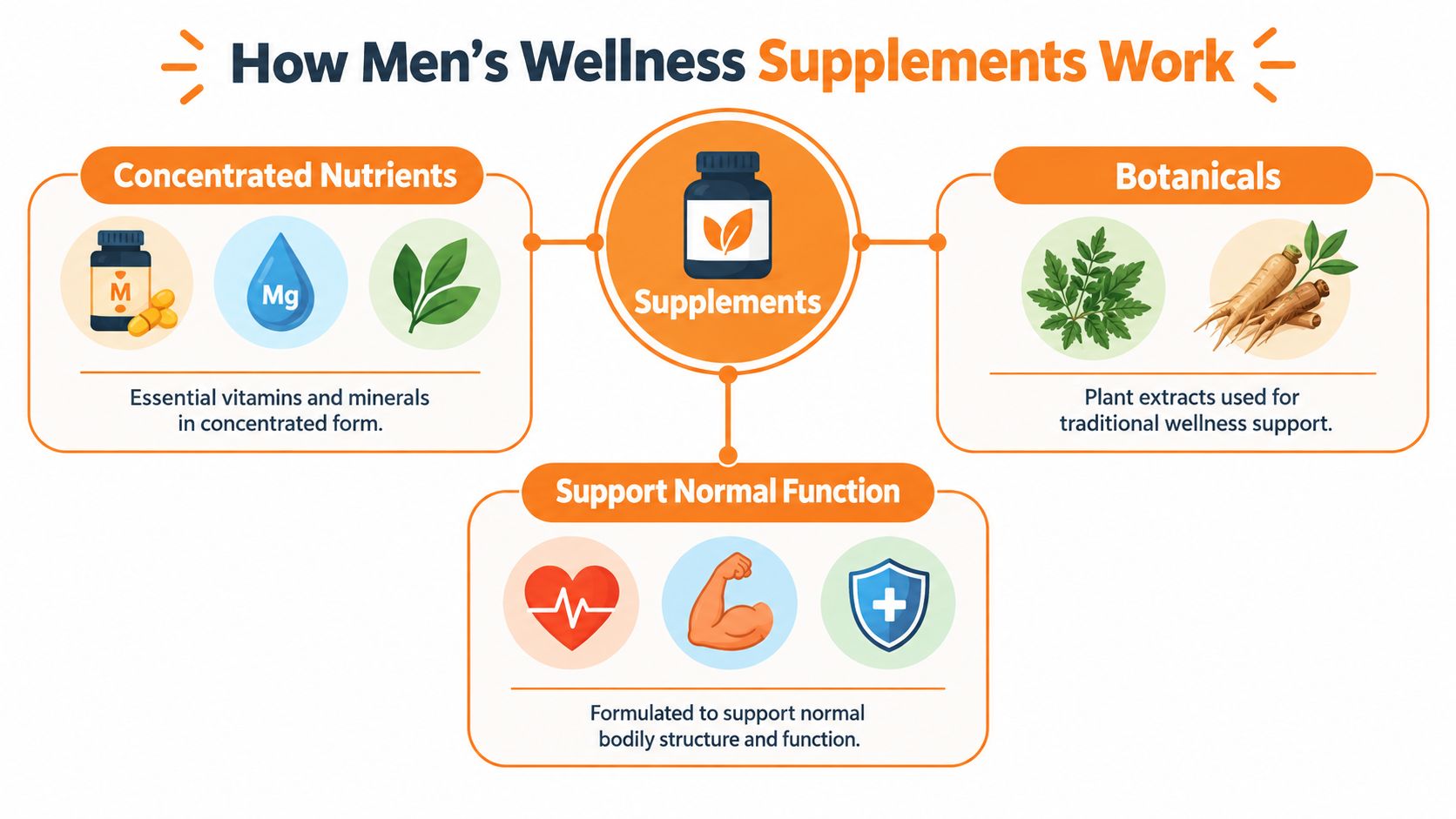 An infographic illustrating how men's wellness supplements work through concentrated nutrients, botanicals, and supporting normal bodily functions.