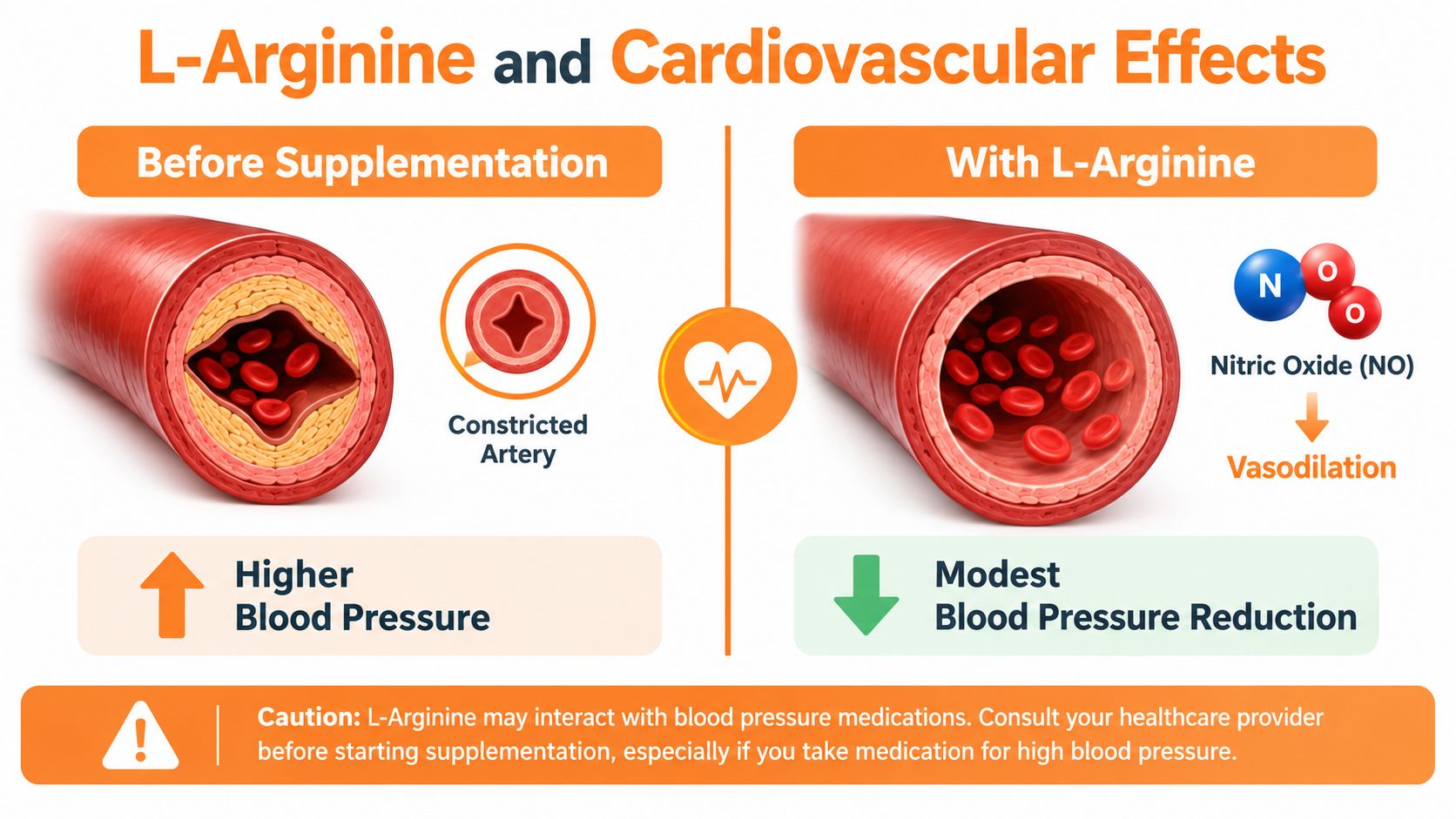 A diagram explaining how L-Arginine promotes vasodilation and aids in lowering blood pressure in constricted arteries.