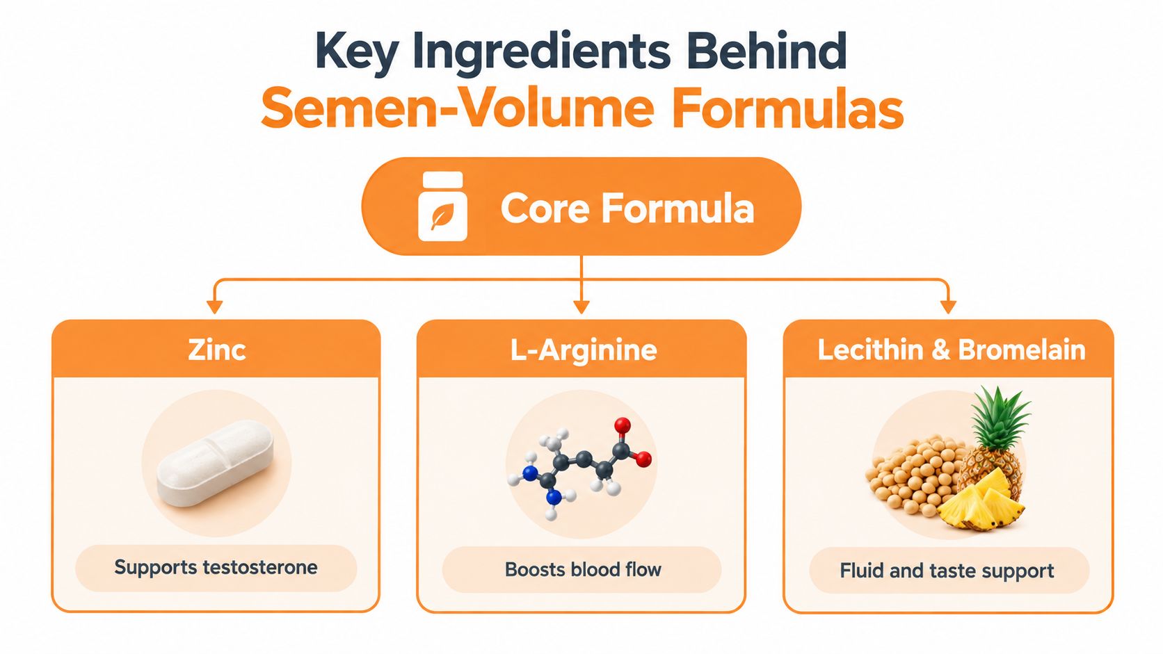 A diagram illustrating the key ingredients for semen volume enhancement, including zinc, L-arginine, lecithin, and bromelain.