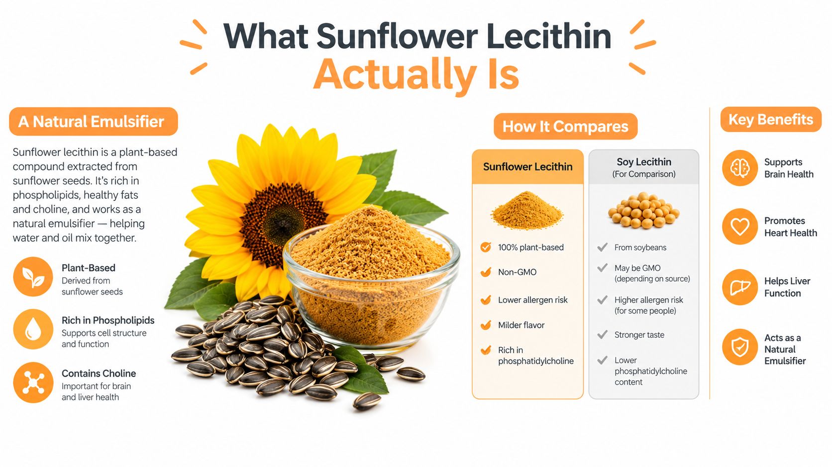 An infographic detailing the benefits and comparisons of sunflower lecithin as a natural plant-based emulsifier.