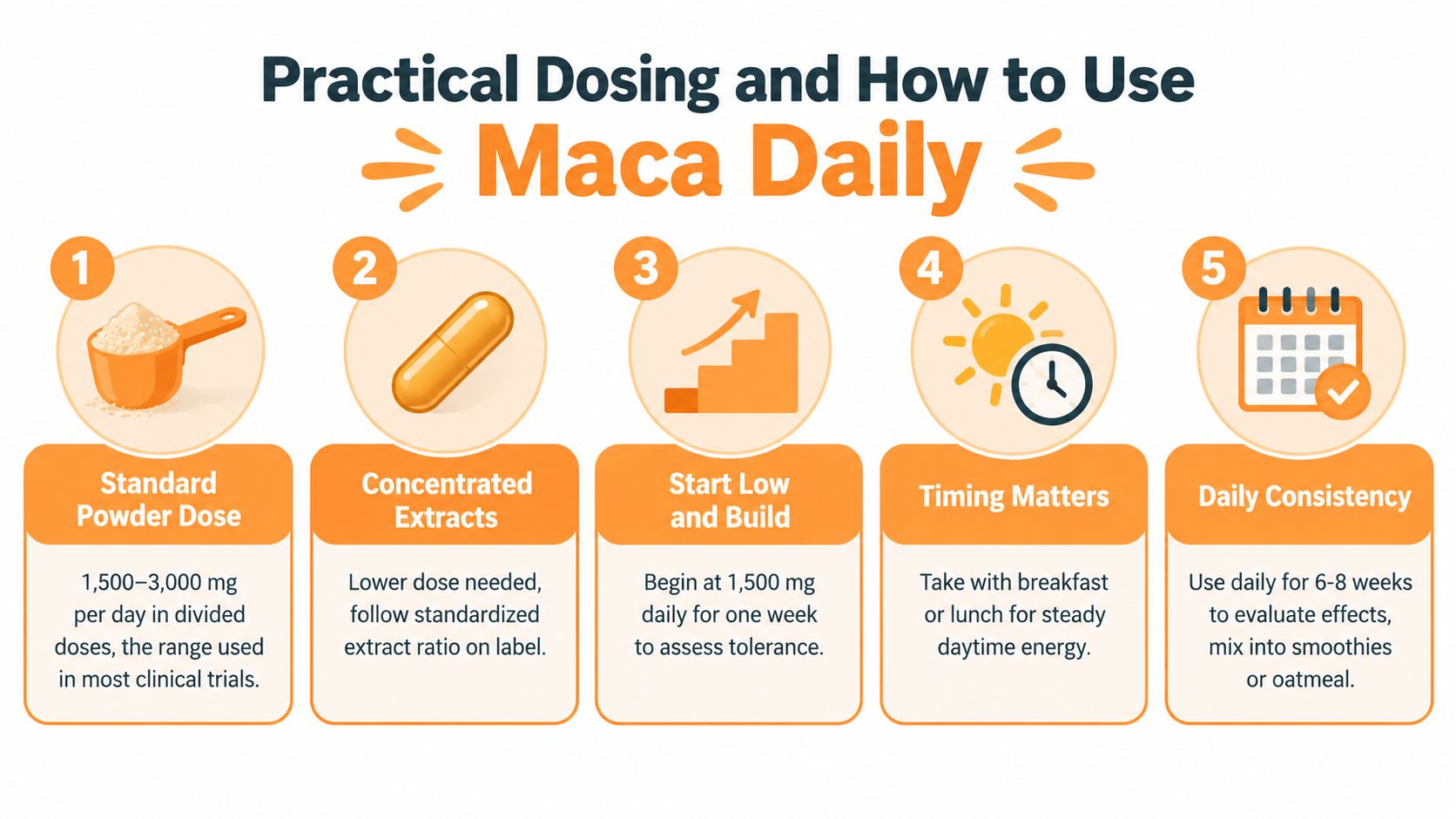 A five-step instructional guide on the practical dosing and usage of maca root supplement powder.