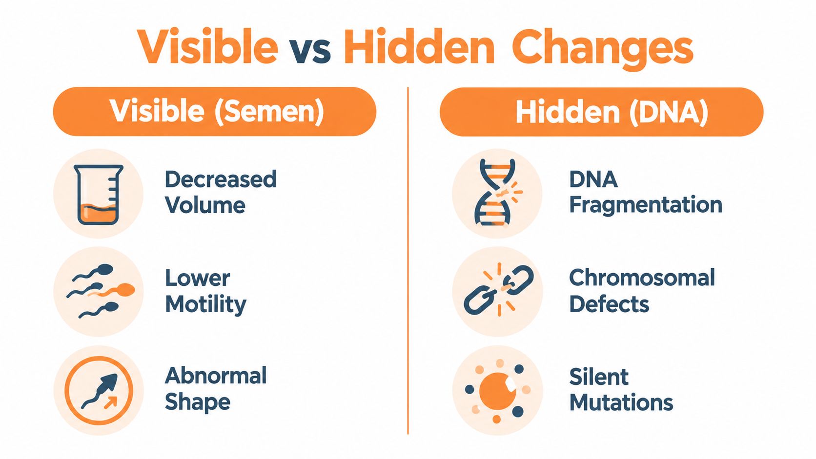 A comparison chart showing visible semen changes versus hidden DNA damage in sperm health assessment.