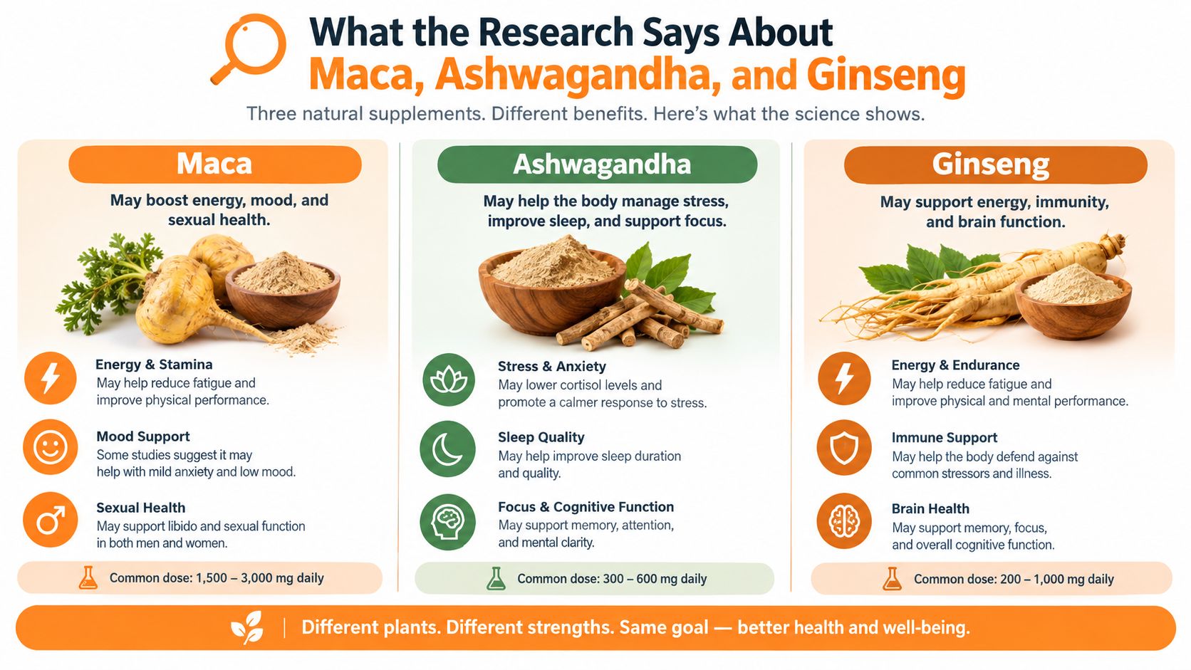 A comparison infographic detailing the health benefits, uses, and common dosages of Maca, Ashwagandha, and Ginseng supplements.