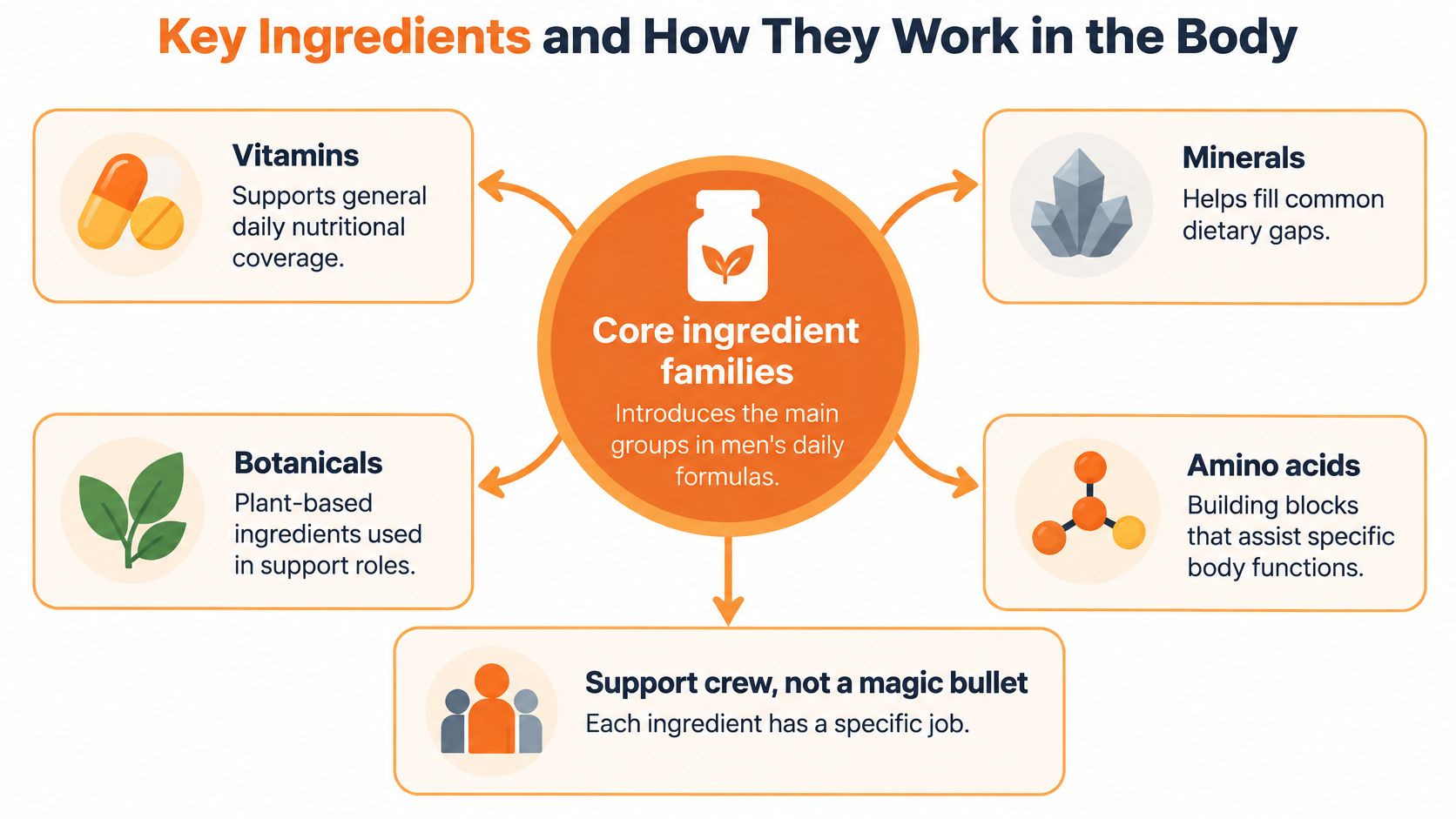 An infographic showing the five core ingredient families found in daily nutritional supplements for men.