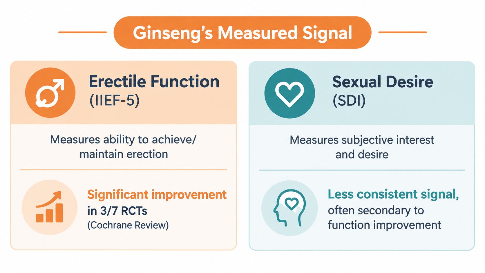 An infographic summarizing the measured effects of ginseng on erectile function and sexual desire levels.