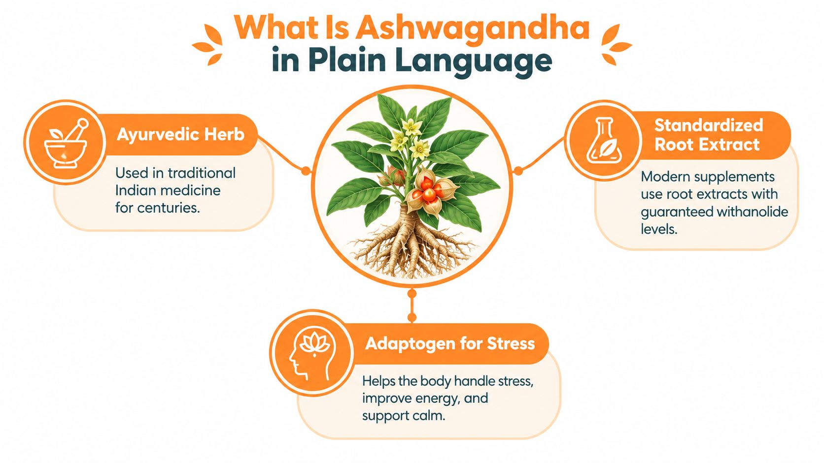 An infographic explaining Ashwagandha as an Ayurvedic herb, standardized root extract, and an adaptogen for stress.
