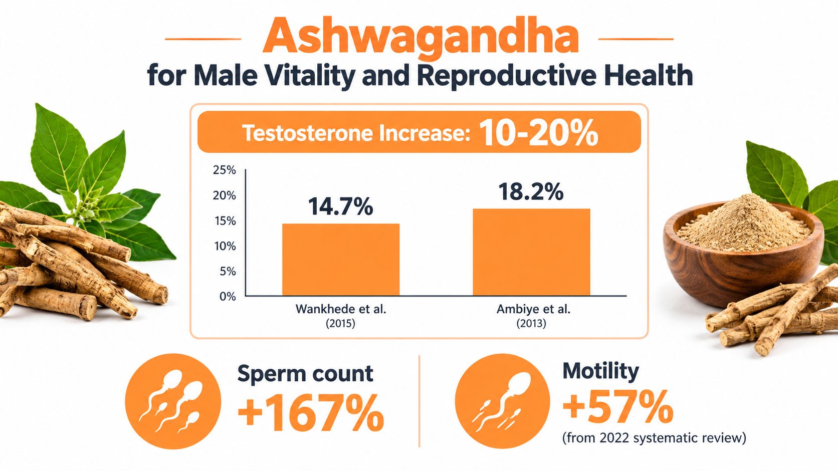 An infographic showing the benefits of Ashwagandha for male vitality, including testosterone, sperm count, and motility increases.