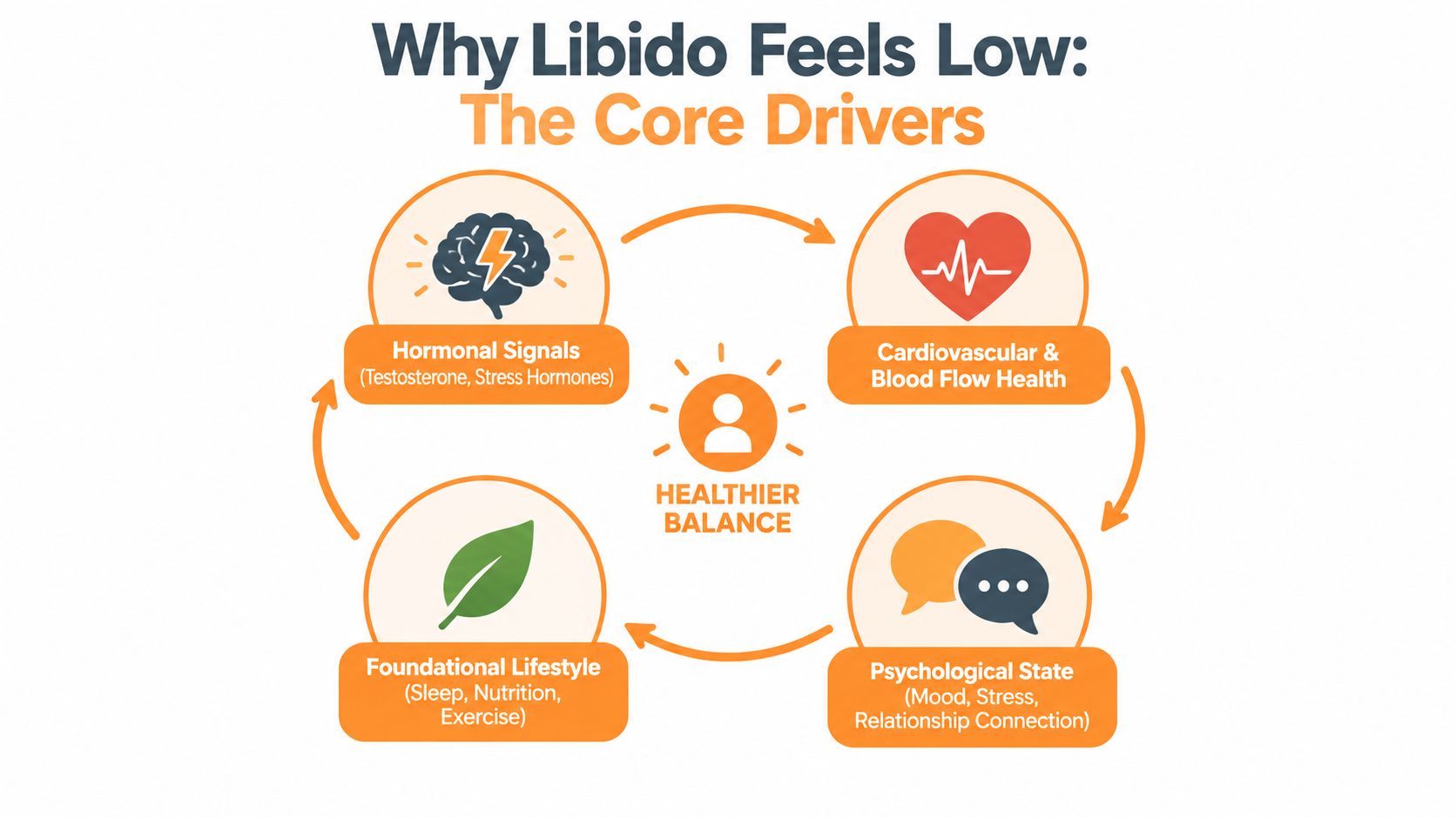 A diagram illustrating the four core drivers of low libido: hormonal signals, cardiovascular health, lifestyle, and psychology.