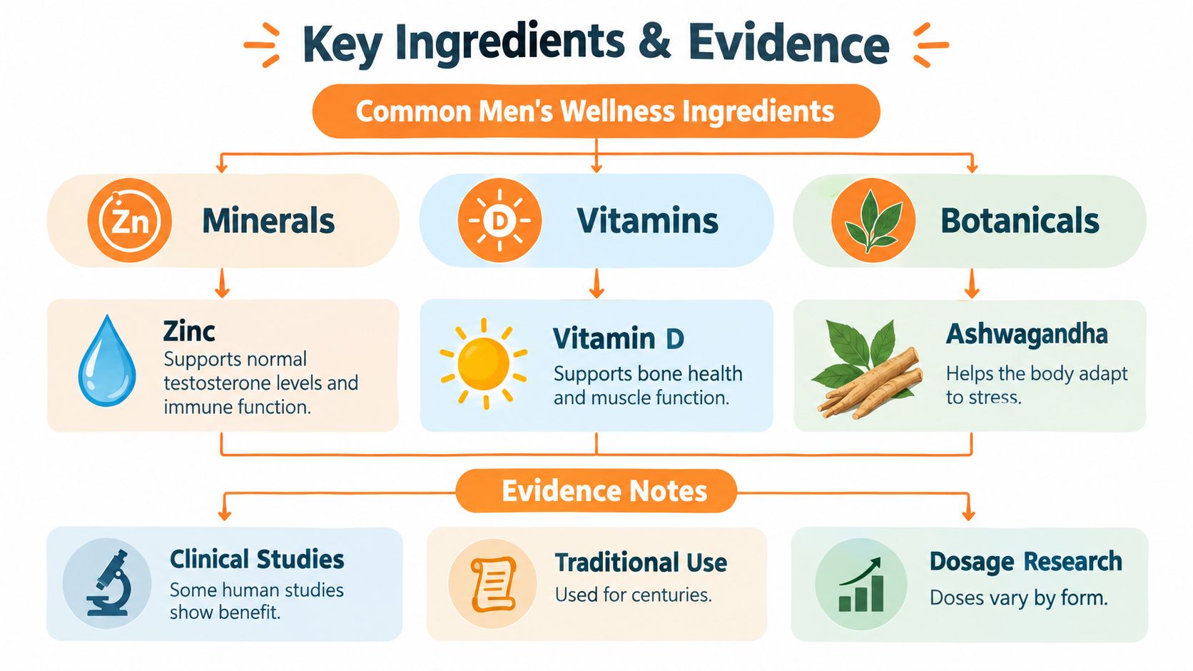 An infographic showing common men's wellness ingredients like zinc, vitamin D, and ashwagandha with supporting evidence notes.