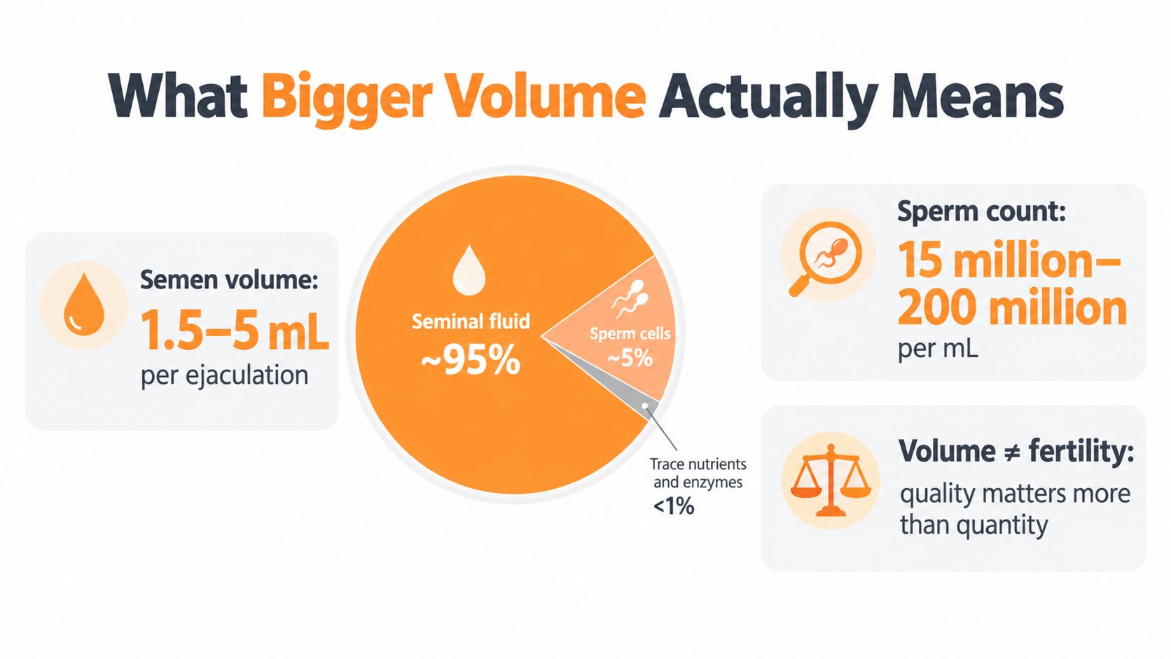 An infographic titled What Bigger Volume Actually Means, showing semen composition and normal sperm count statistics.