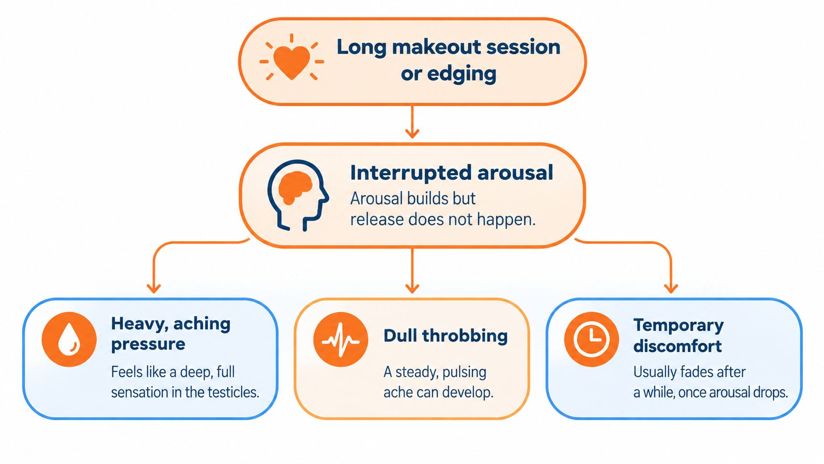 A flowchart explaining the causes of blue balls, including interrupted arousal and resulting testicular physical symptoms.