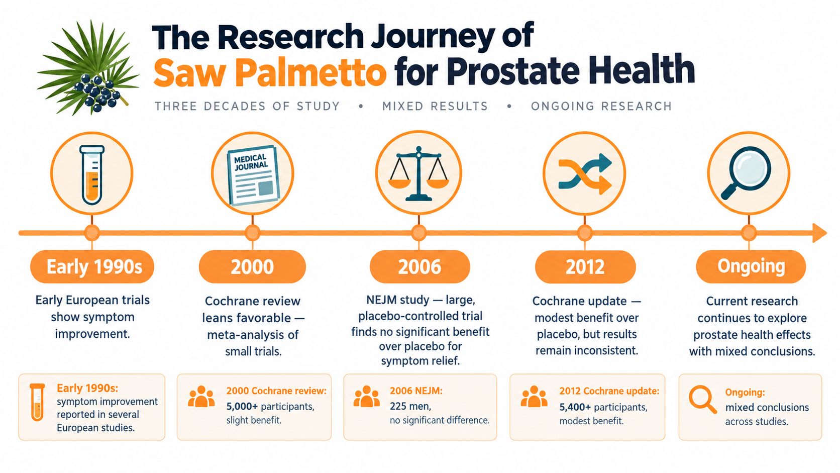 A timeline graphic showing the history and research journey of saw palmetto for prostate health.