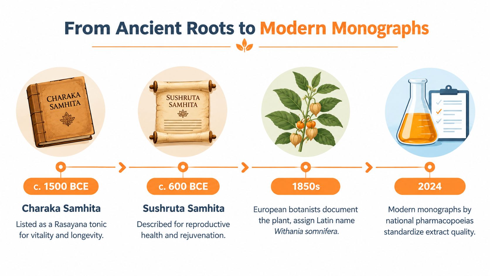 A timeline chart illustrating the historical journey of ashwagandha from ancient Ayurvedic texts to modern pharmaceutical standards.