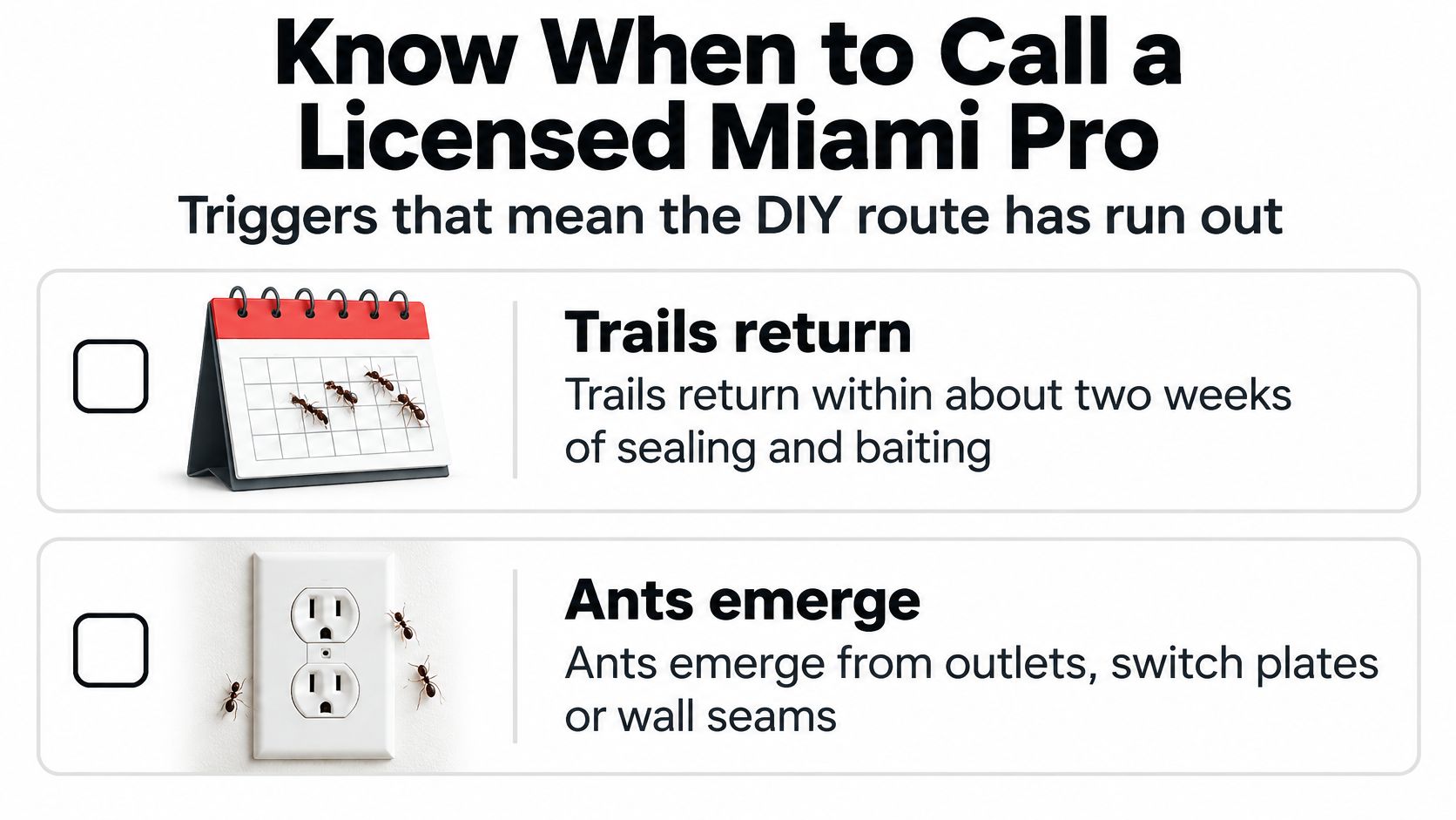 An infographic titled Know When to Call a Licensed Miami Pro showing signs of an ant infestation.