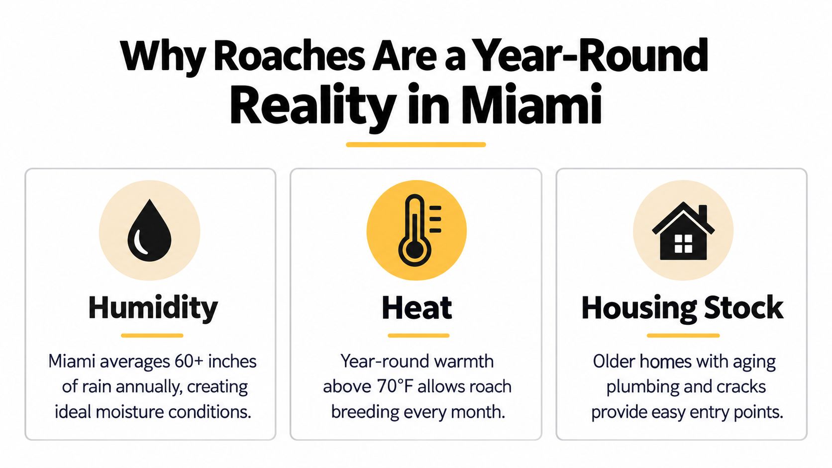 An infographic showing why roaches are a year-round problem in Miami due to humidity, heat, and housing.