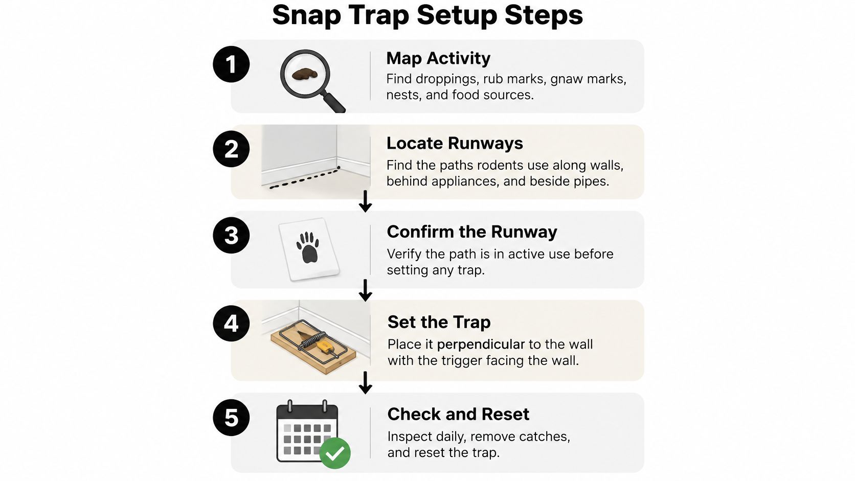 A five-step guide on how to properly set up snap traps for effective rodent control.