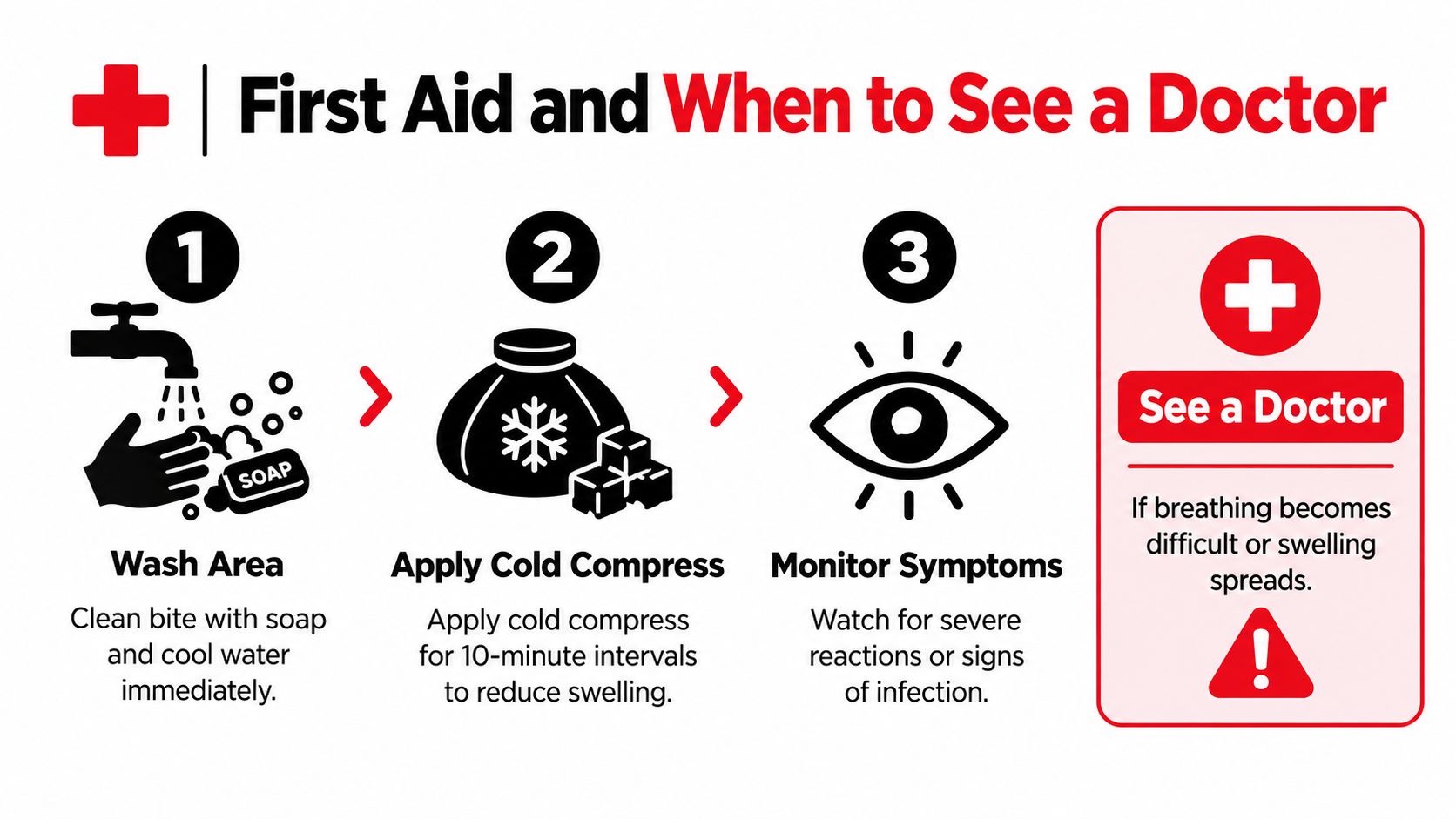 An infographic showing first aid steps for an insect bite: washing, cooling, and monitoring symptoms.