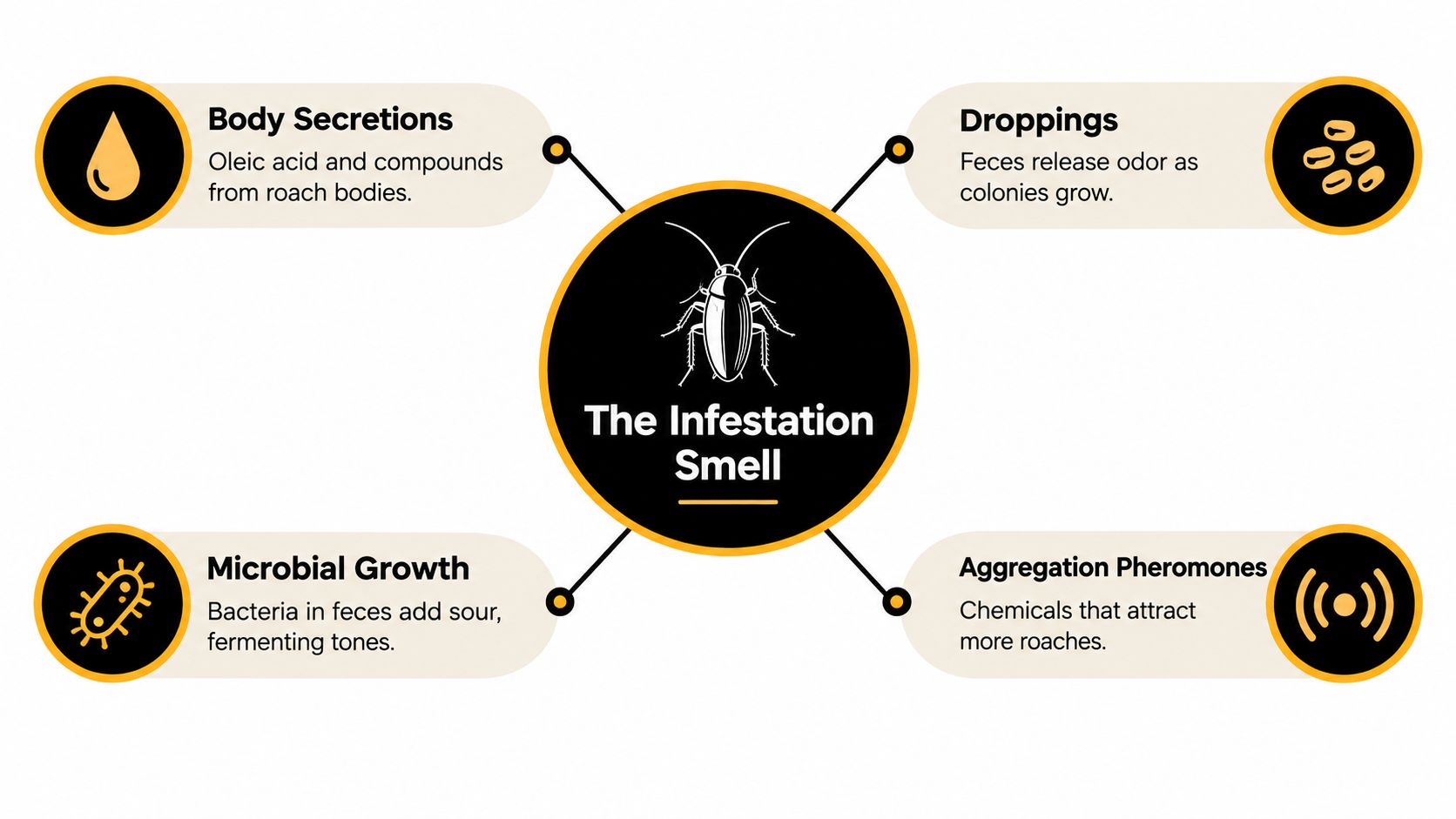 A diagram explaining the causes of odors in a cockroach infestation including secretions, droppings, bacteria, and pheromones.