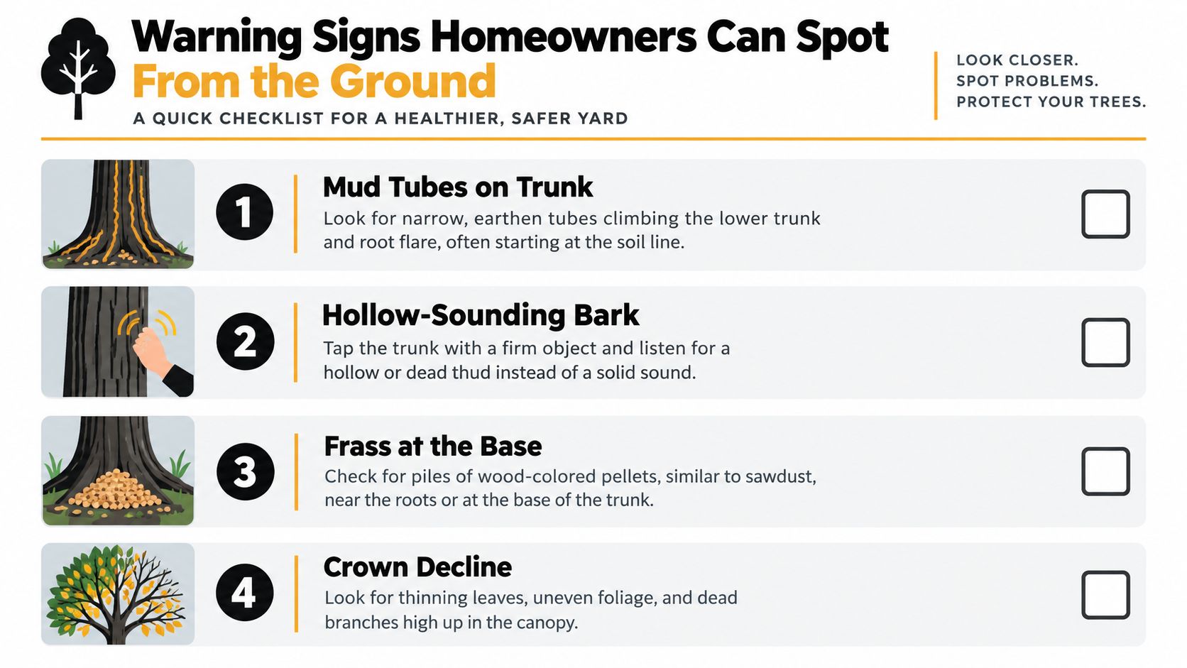 An infographic checklist for homeowners identifying four visual warning signs of tree damage and potential termite infestation.