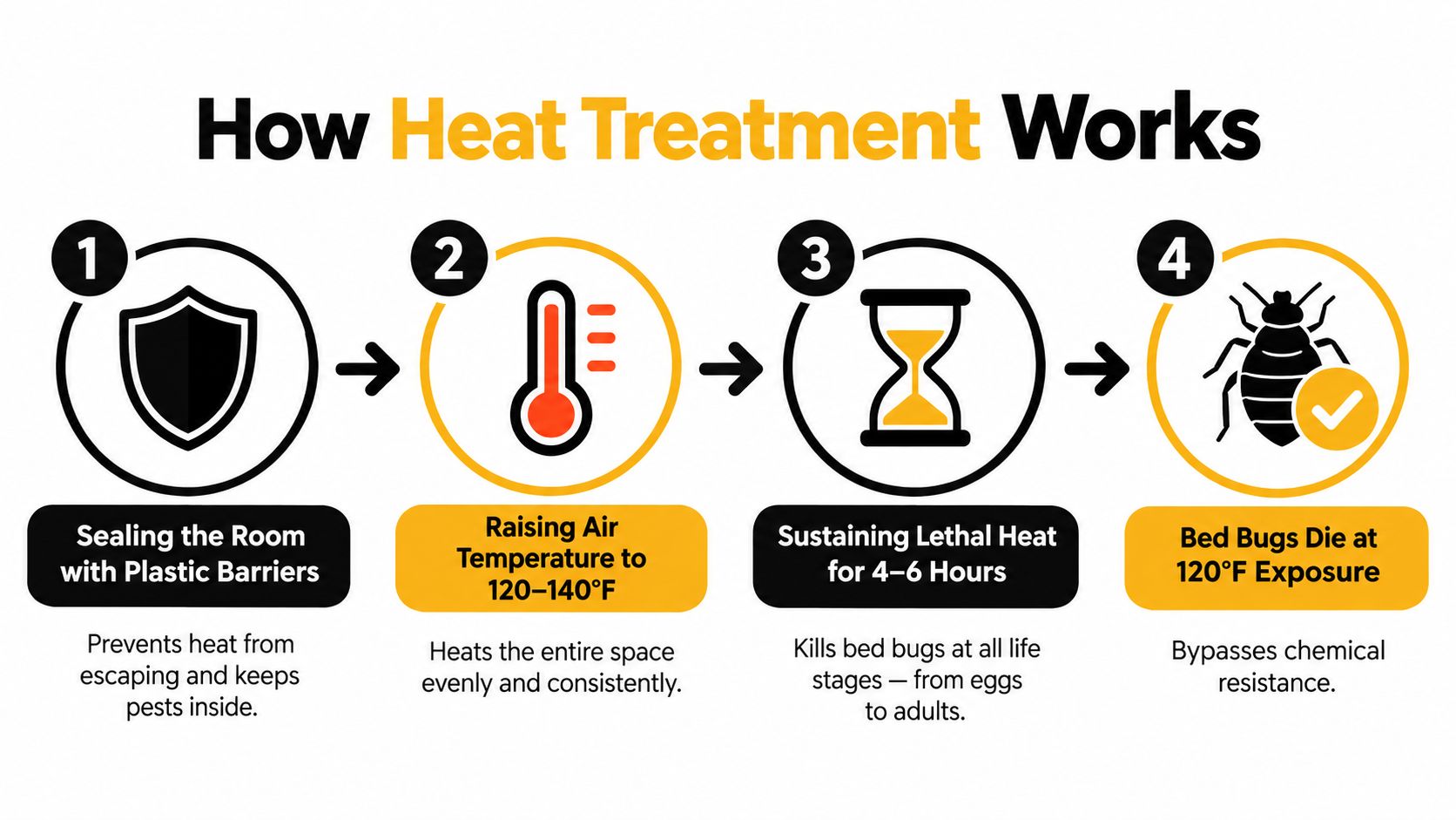 An infographic showing the four-step process for effectively eliminating bed bugs using professional heat treatment methods.