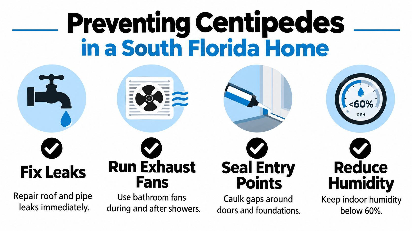 An infographic showing four essential steps to prevent house centipedes in South Florida homes.