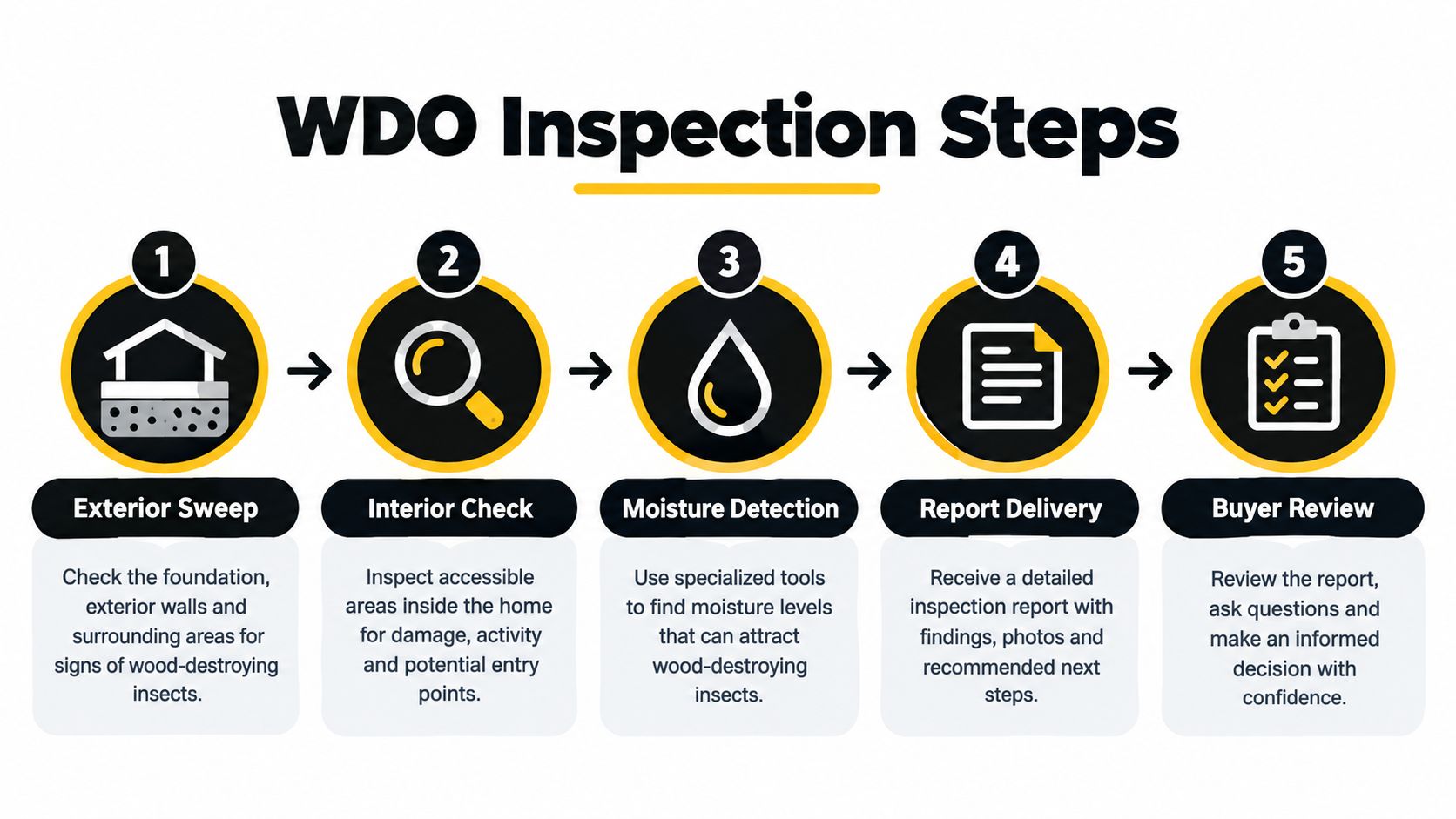 A five-step infographic illustrating the professional process of a WDO wood-destroying organism home inspection.