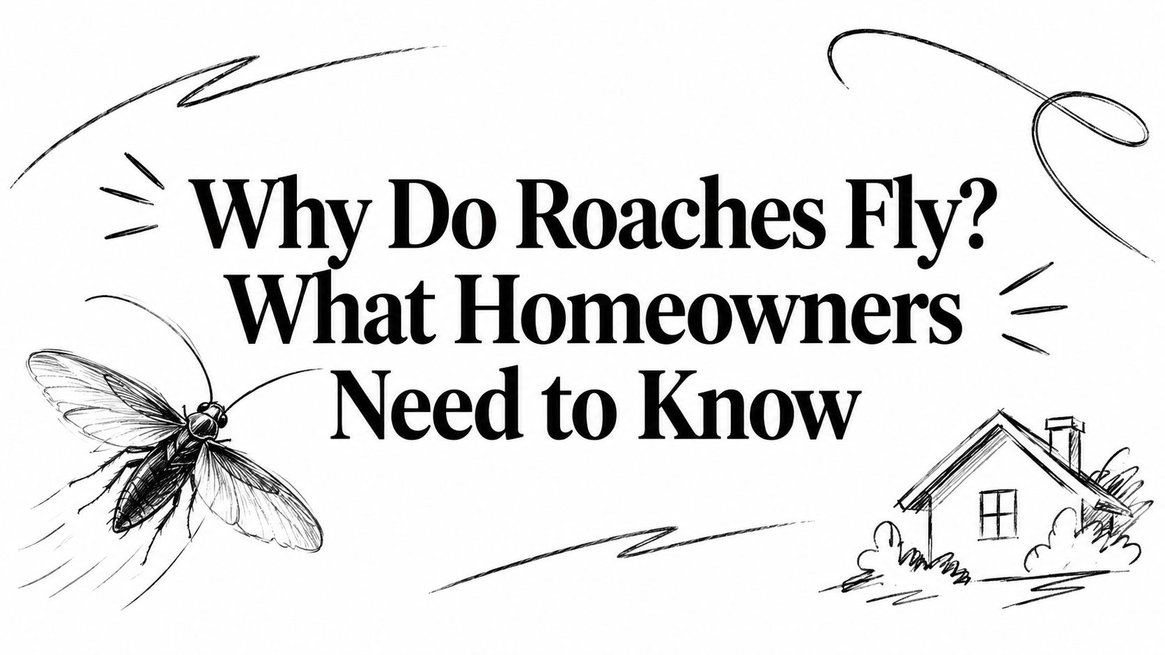 Why Do Roaches Fly? What Homeowners Need to Know