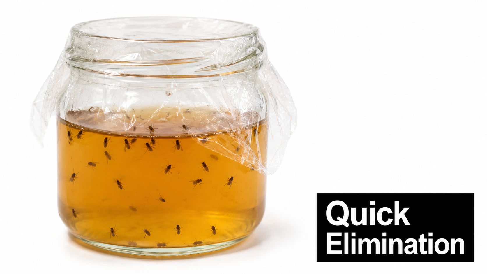 A glass jar filled with amber liquid and trapped flying gnats covered with clear plastic wrap.