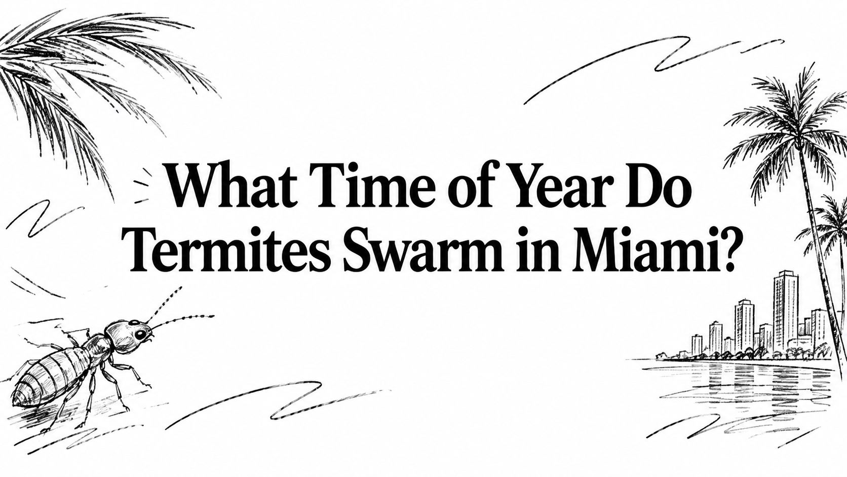 What Time of Year Do Termites Swarm in Miami?