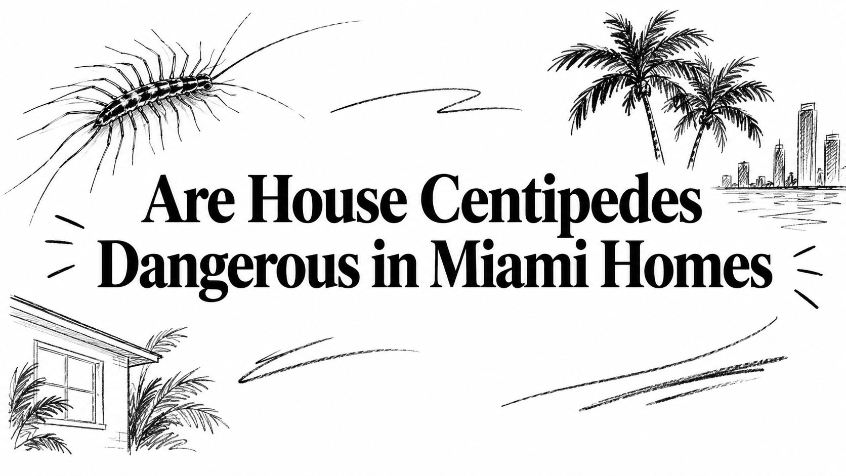 Are House Centipedes Dangerous in Miami Homes