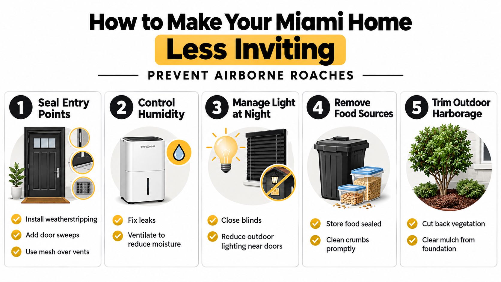 A five-step guide infographic for Miami homeowners on preventing airborne roaches through home maintenance and cleaning strategies.